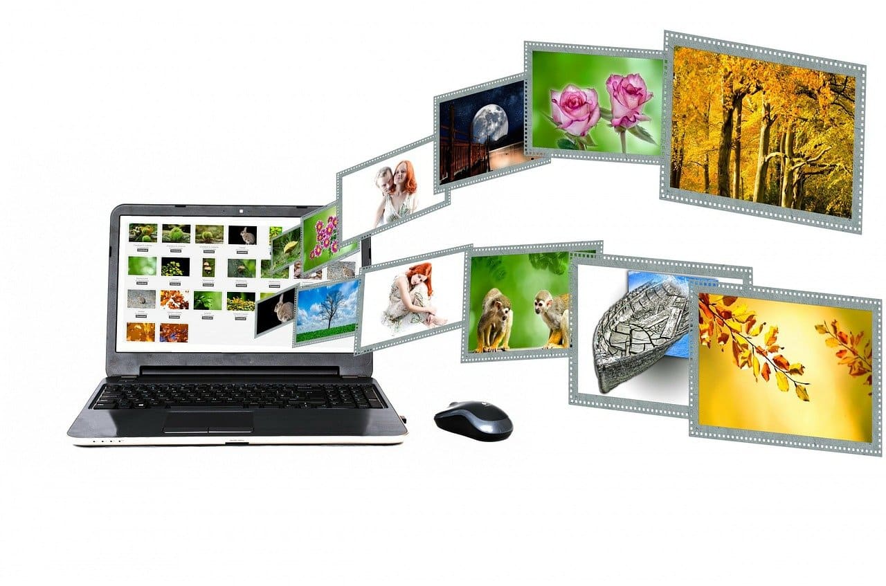 Types of digital marketing_digiticaltech